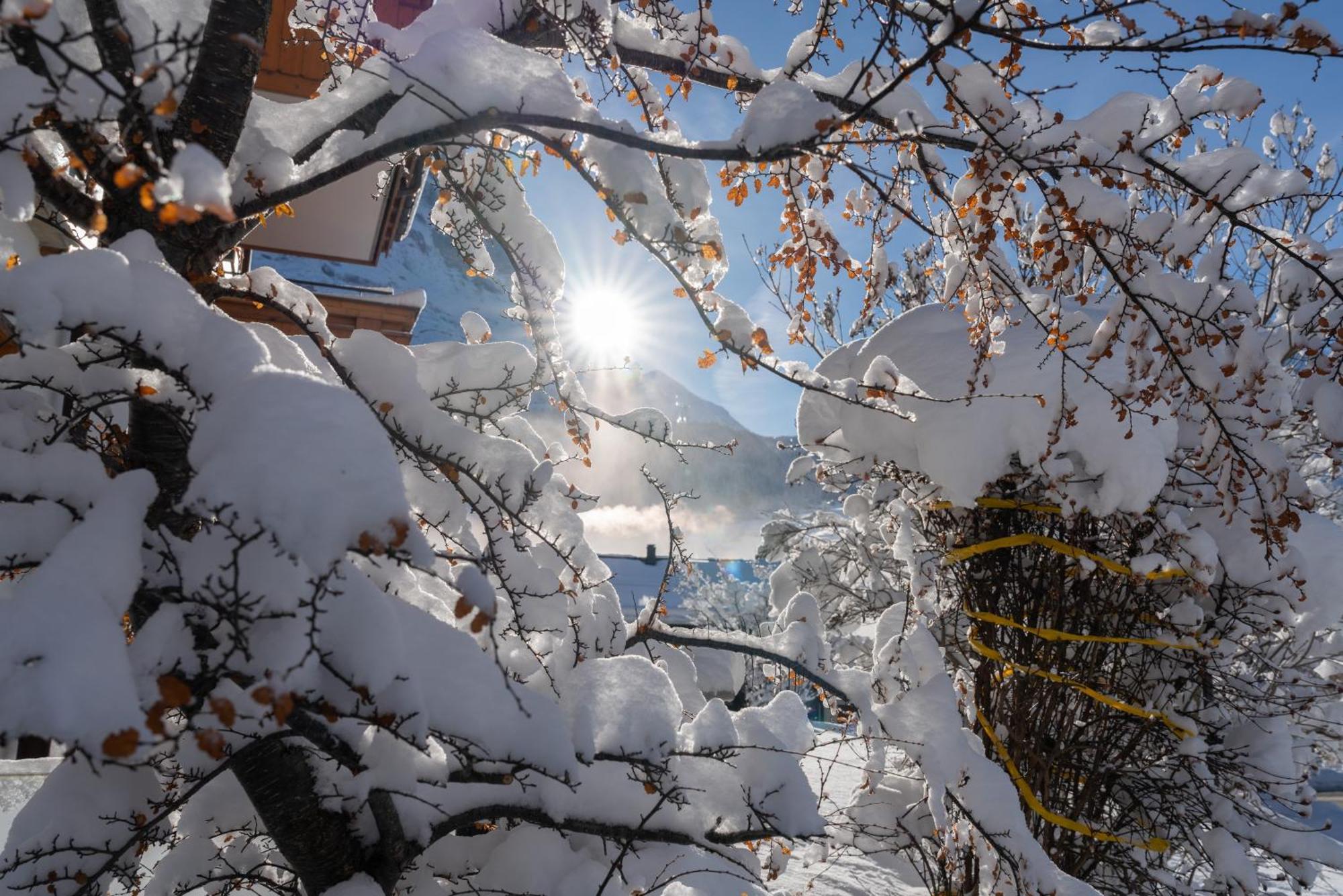 Chalet Alia And Apartments-Grindelwald By Swiss Hotel Apartments Esterno foto