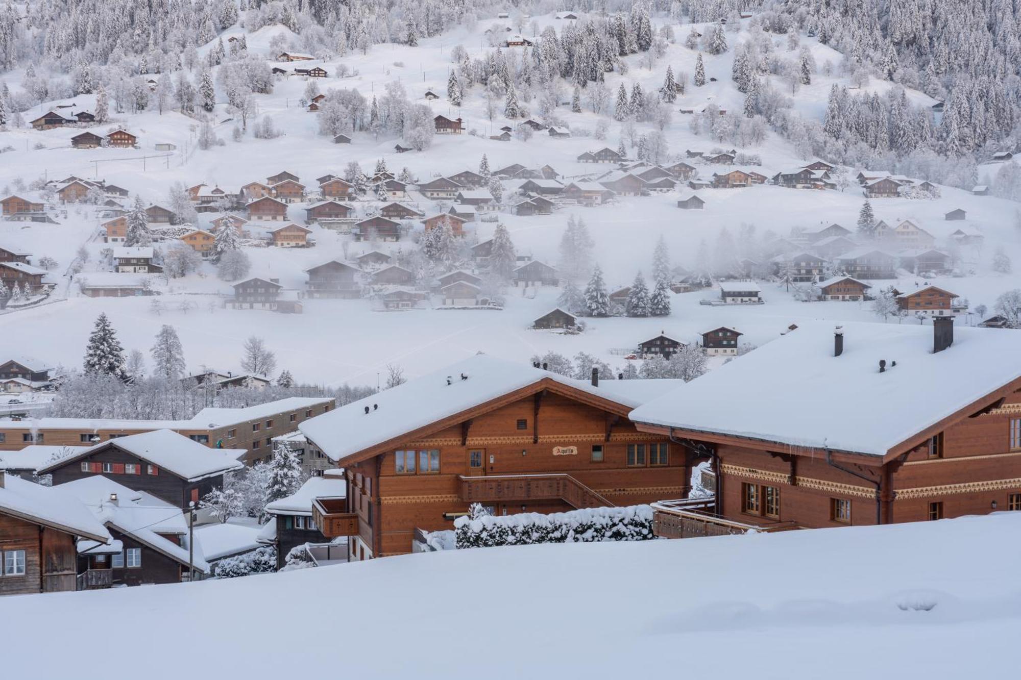 Chalet Alia And Apartments-Grindelwald By Swiss Hotel Apartments Esterno foto