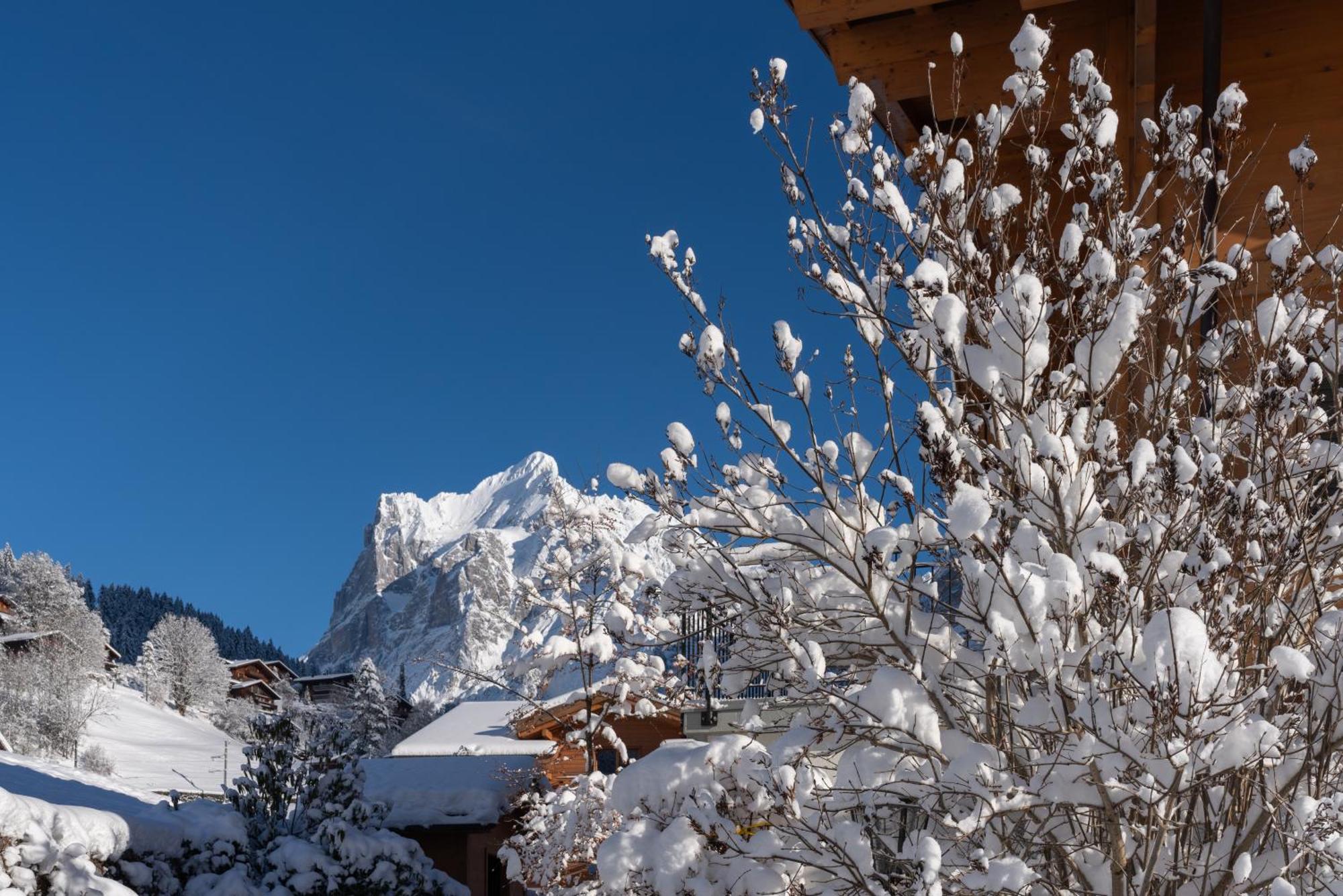 Chalet Alia And Apartments-Grindelwald By Swiss Hotel Apartments Esterno foto